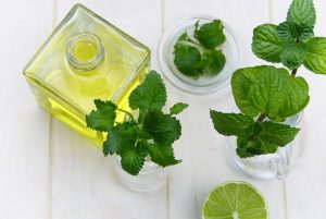 delphine limousin flacon huile essentielle feuilles de menthe citron