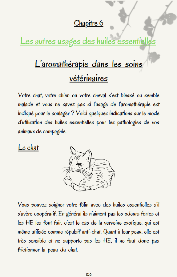 l-aromatherapie-dans-les-soins-veterinaires-le-chat-illustration