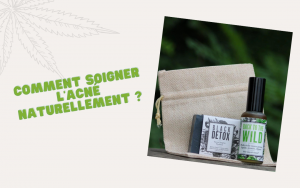 soigner-acne-naturellement-la-plume-du-web